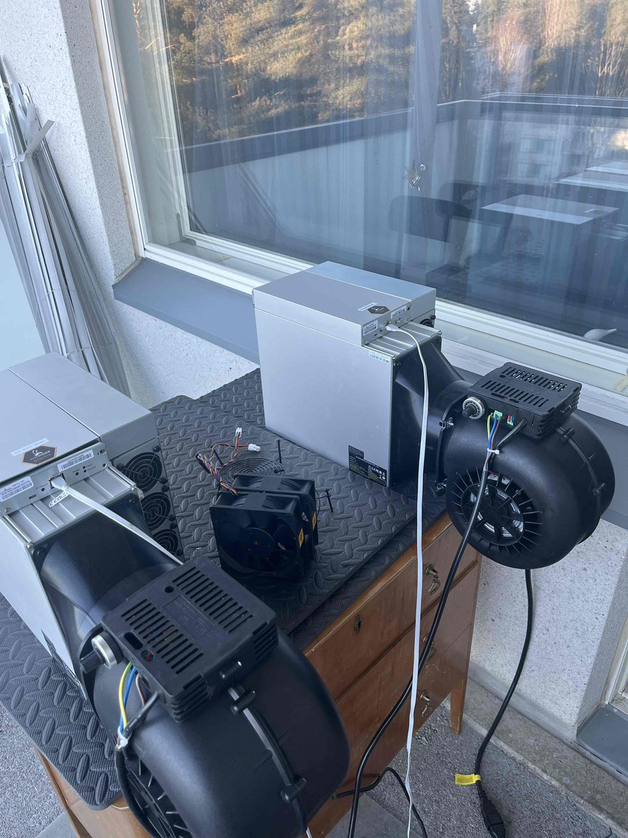 YoungWolfy tweet media