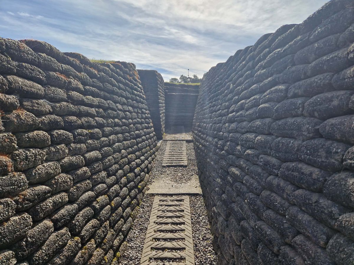 Alex Bowers tweet media