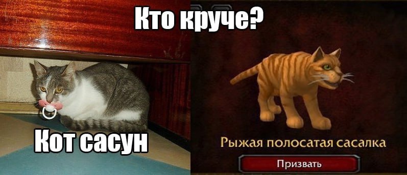 Имморальный средний класс tweet media