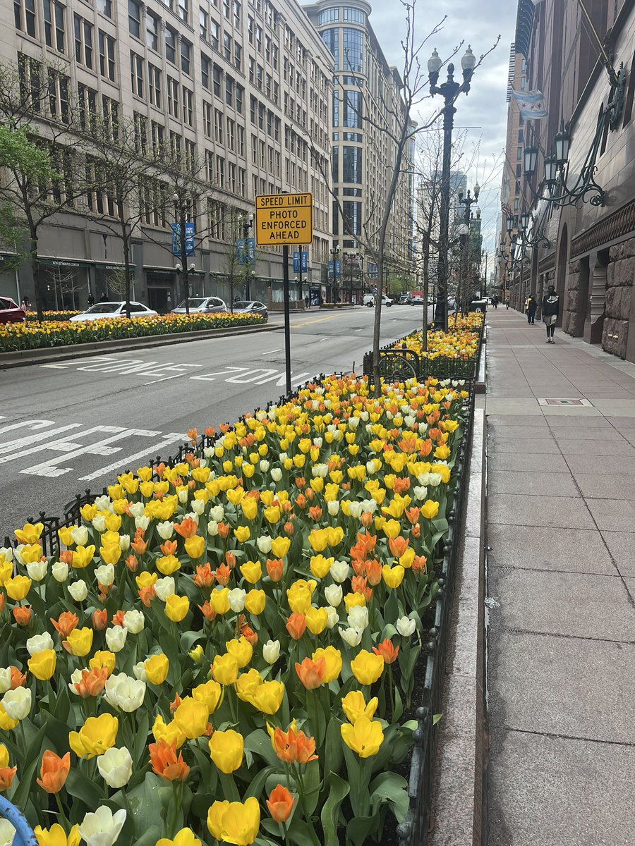 Chicago Bars tweet media