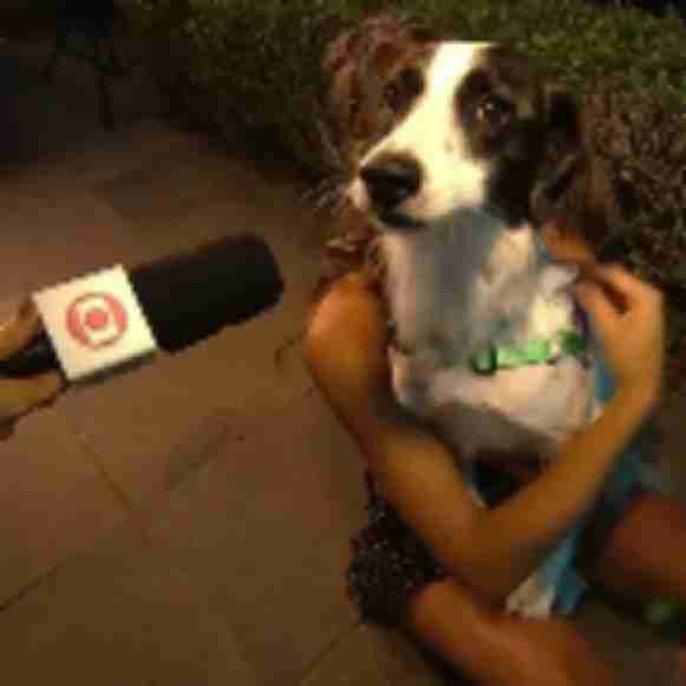 quibi xinha tweet media