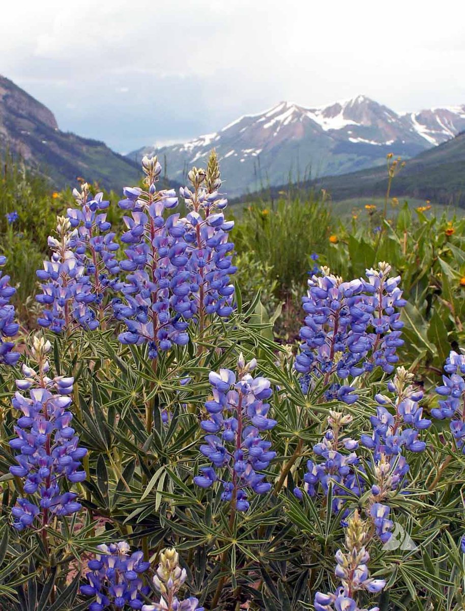 Christine 🏳️⚧️🌎♻️ tweet media