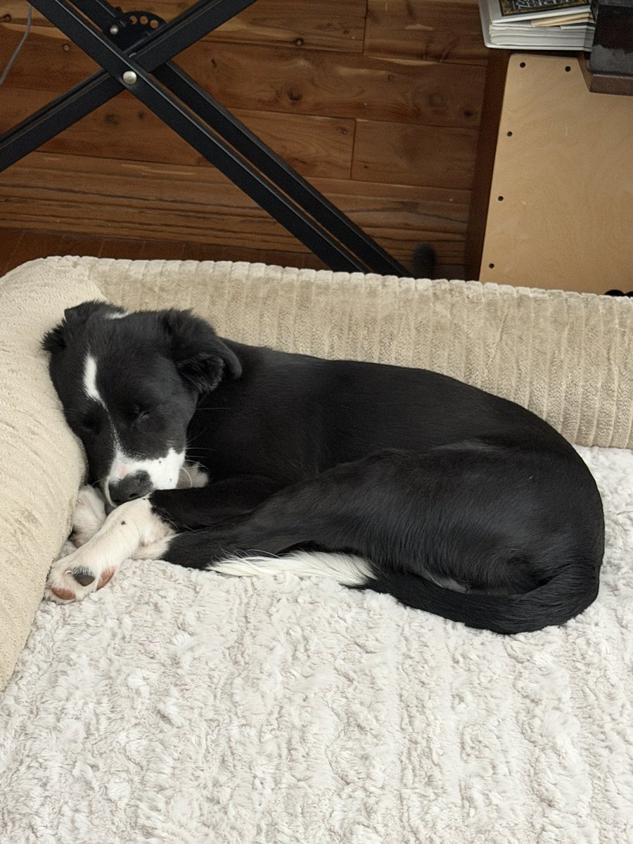 Party Waffle tweet media