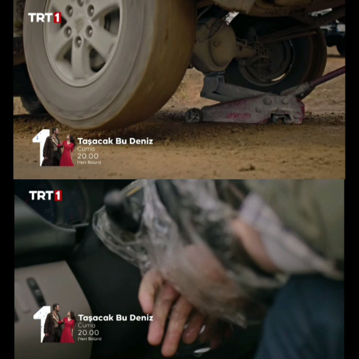 زازي tweet media