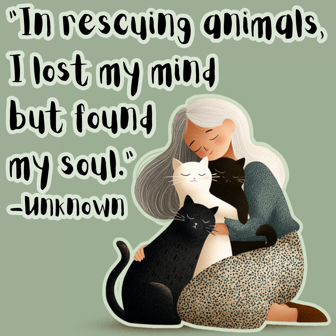 teamveganfta's tweet image. When we care for animals, we care for our own souls too. 💚

#inspirationalquote #quoteoftheday #quotesdaily