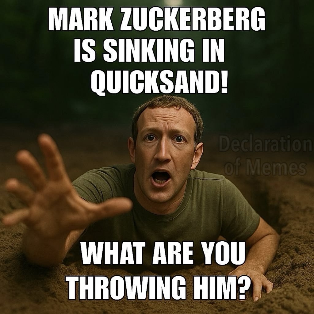 Declaration of Memes tweet media