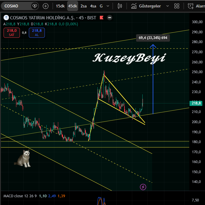 Kuzeybeyi1's tweet image. #COSMO Bir önceki listeden .. +%5 
(ytd)