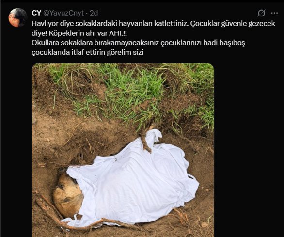 Fatih Özdeş tweet media