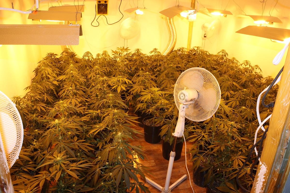 Mirosław Miłosz 🇵🇱 🇪🇺 tweet media