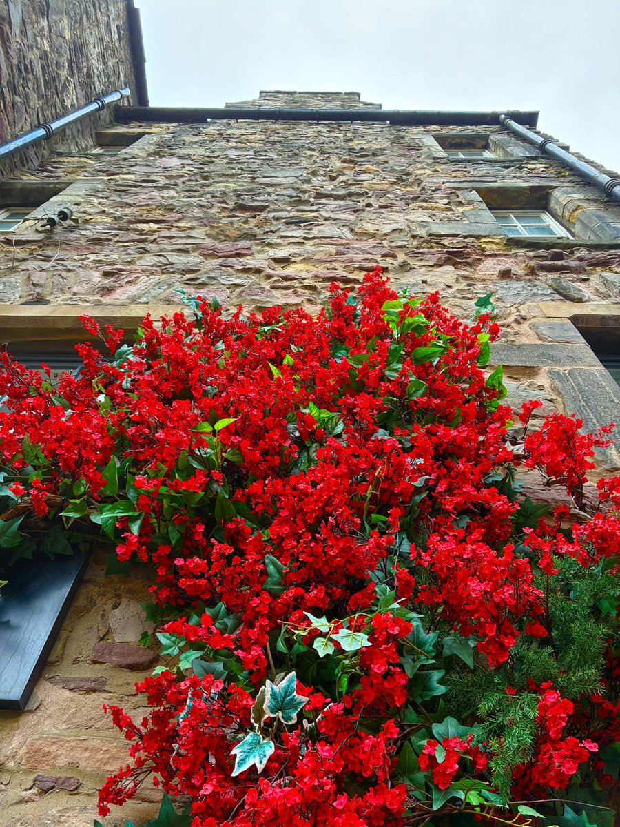 JPAMDG's tweet image. Did a wee bit of walking in #Edinburgh today 😎🏴󠁧󠁢󠁳󠁣󠁴󠁿💫 #Edimburgo #Scotland #Escocia