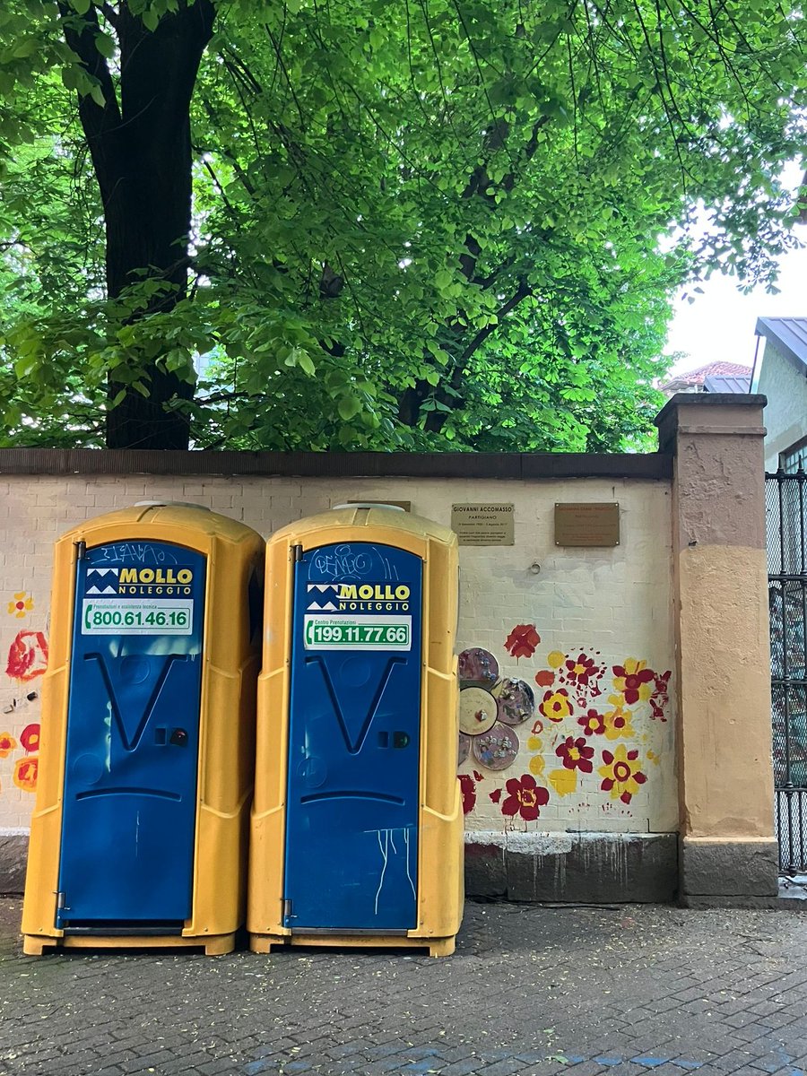 rita rapisardi tweet media