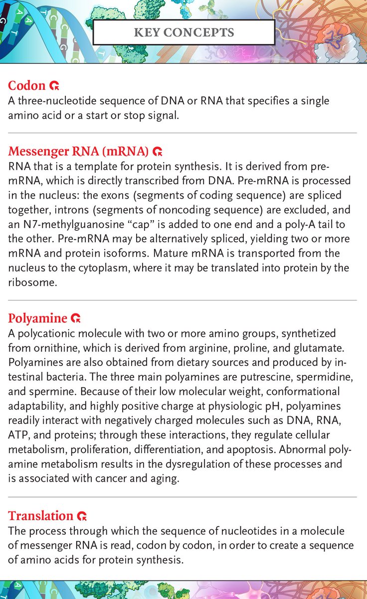NEJM's tweet image. Clinical Implications of Basic Research: Altering the Diet to Rewire Cancer nejm.org/doi/full/10.10…

#Oncology #Pediatrics