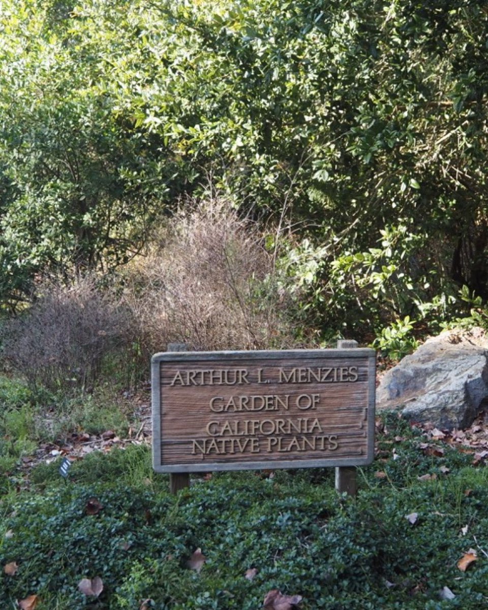 San Francisco Botanical Garden tweet media