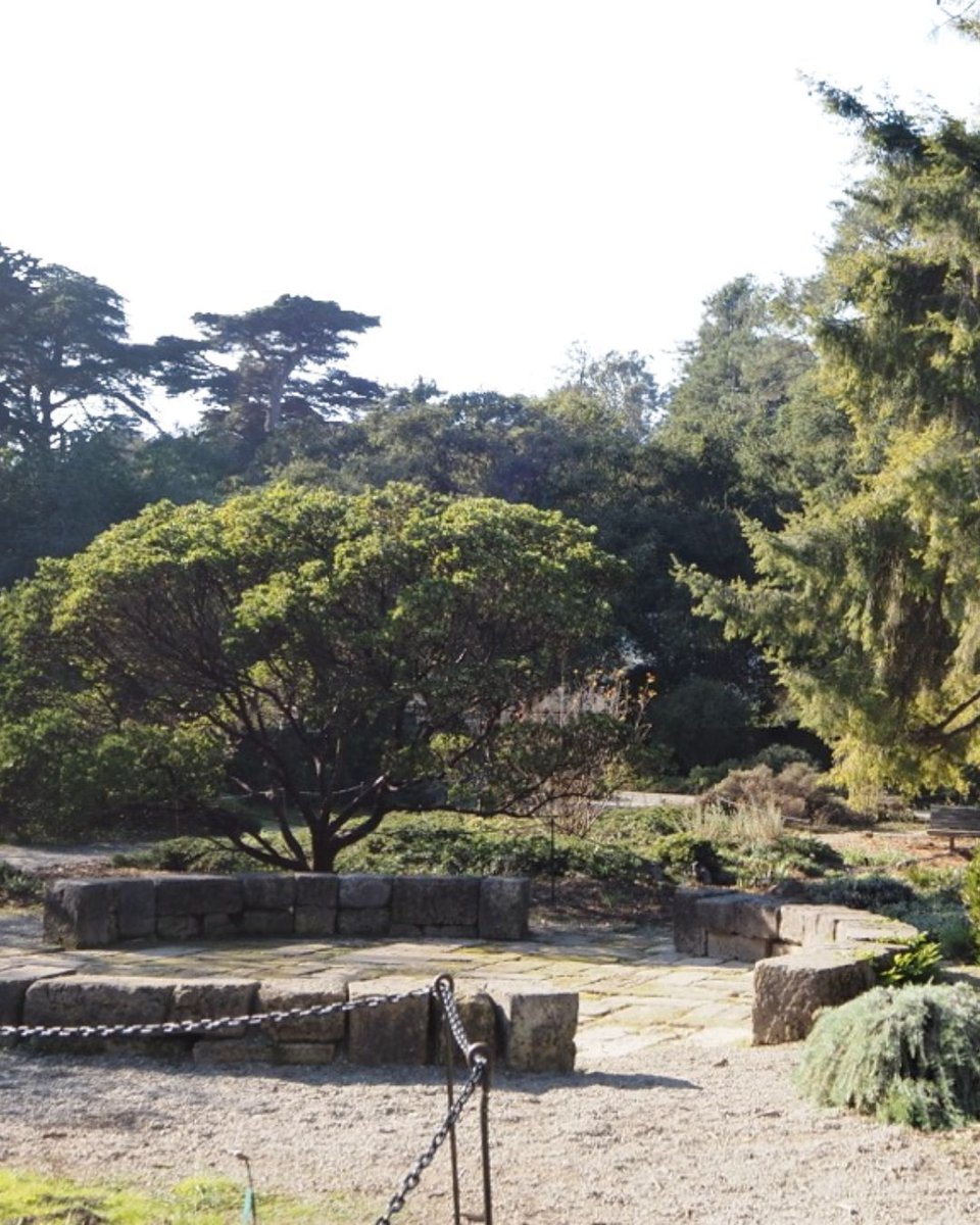 San Francisco Botanical Garden tweet media