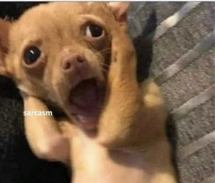 V€£ BA€ tweet media