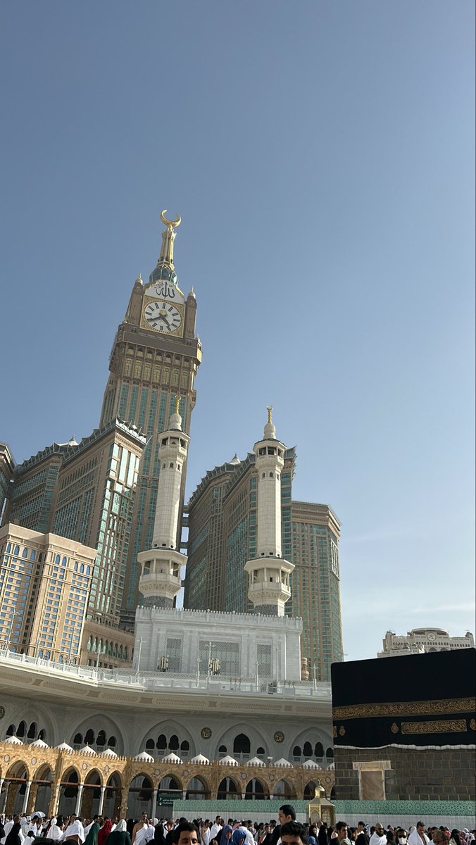 هديل tweet media