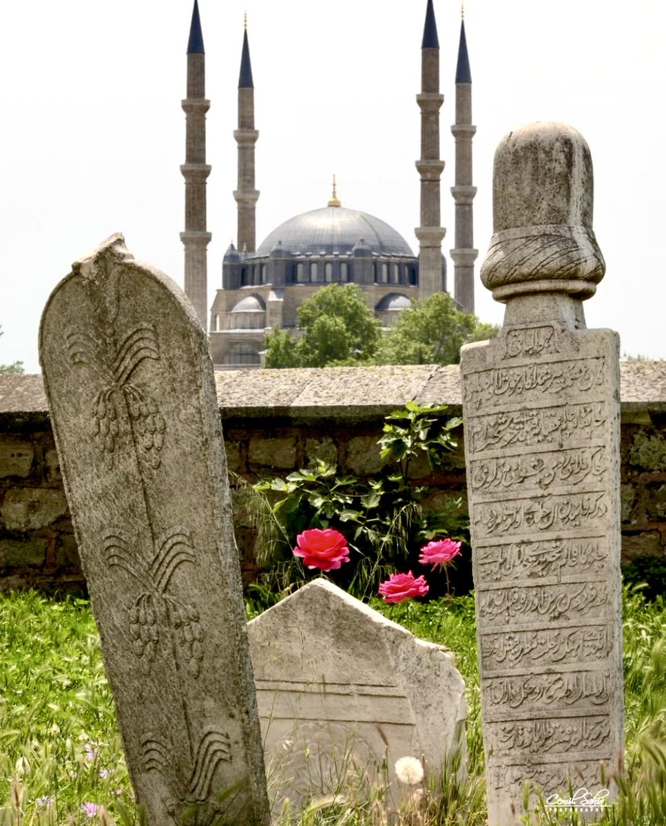 Cumhur Büyükçelik 🇹🇷 tweet media