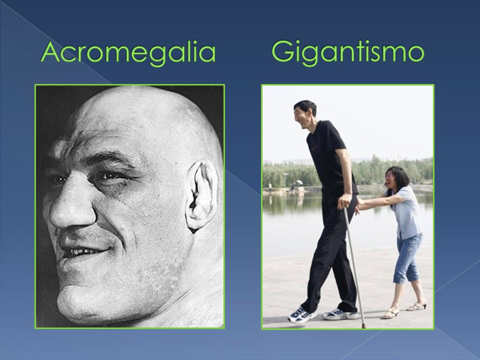 larisso de macedo machado tweet media