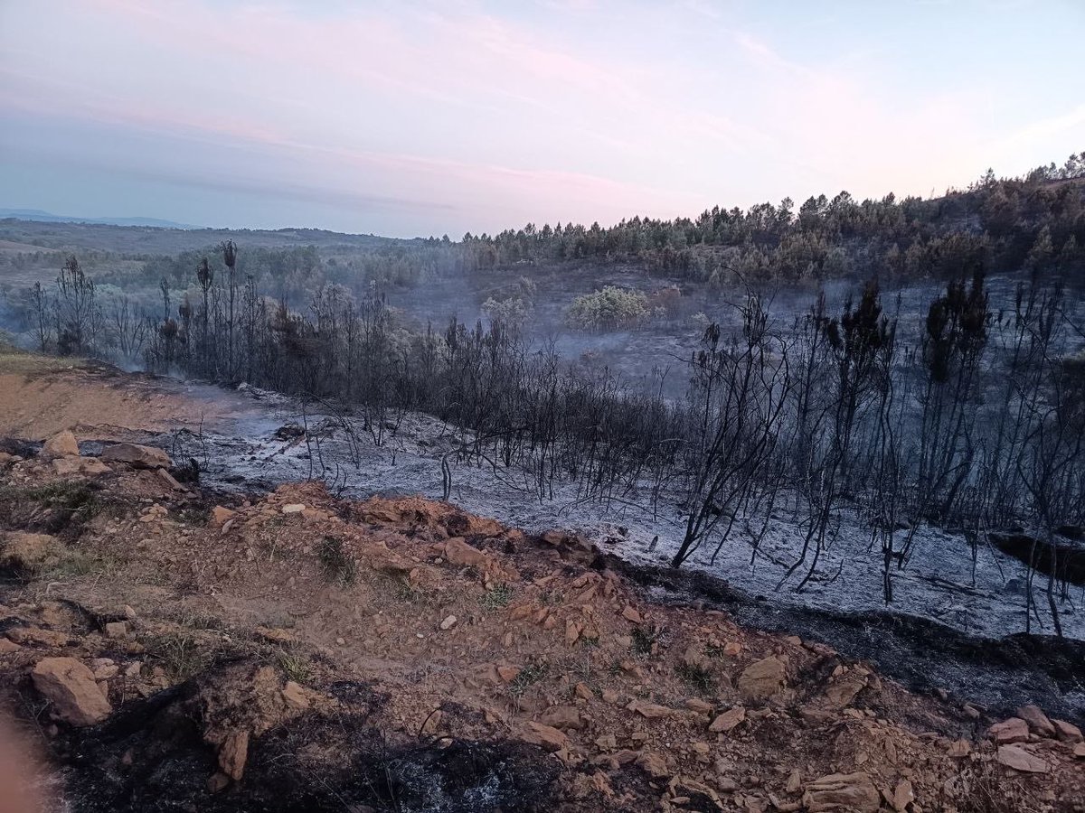 Consejería de Gestión Forestal y Mundo Rural tweet media