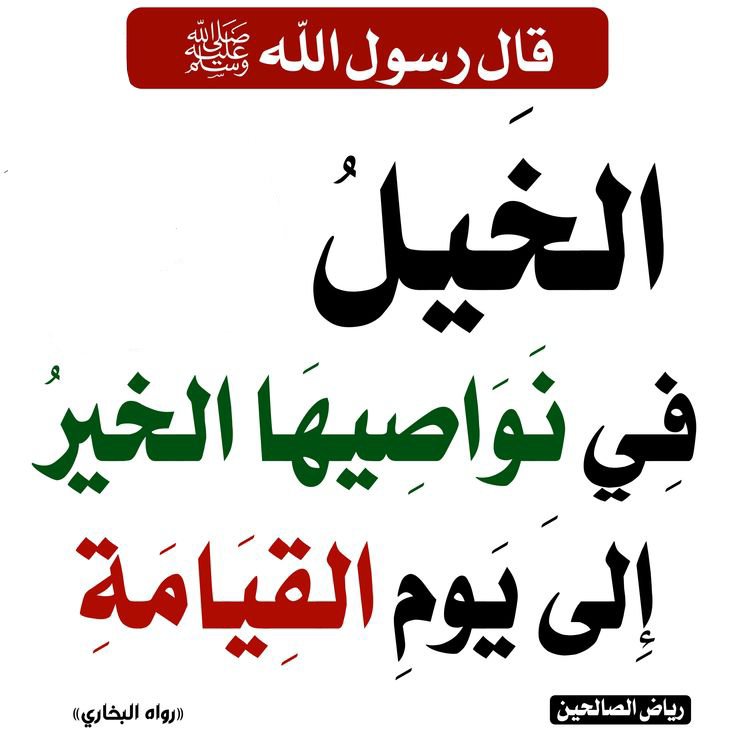 إِســـلَآميِّات tweet media