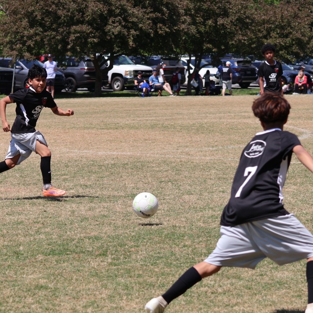 JoyceFarms tweet media