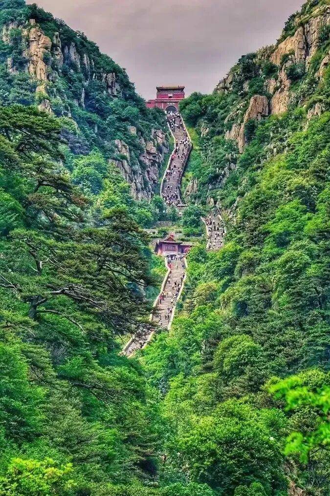 Vadim Burdo tweet media