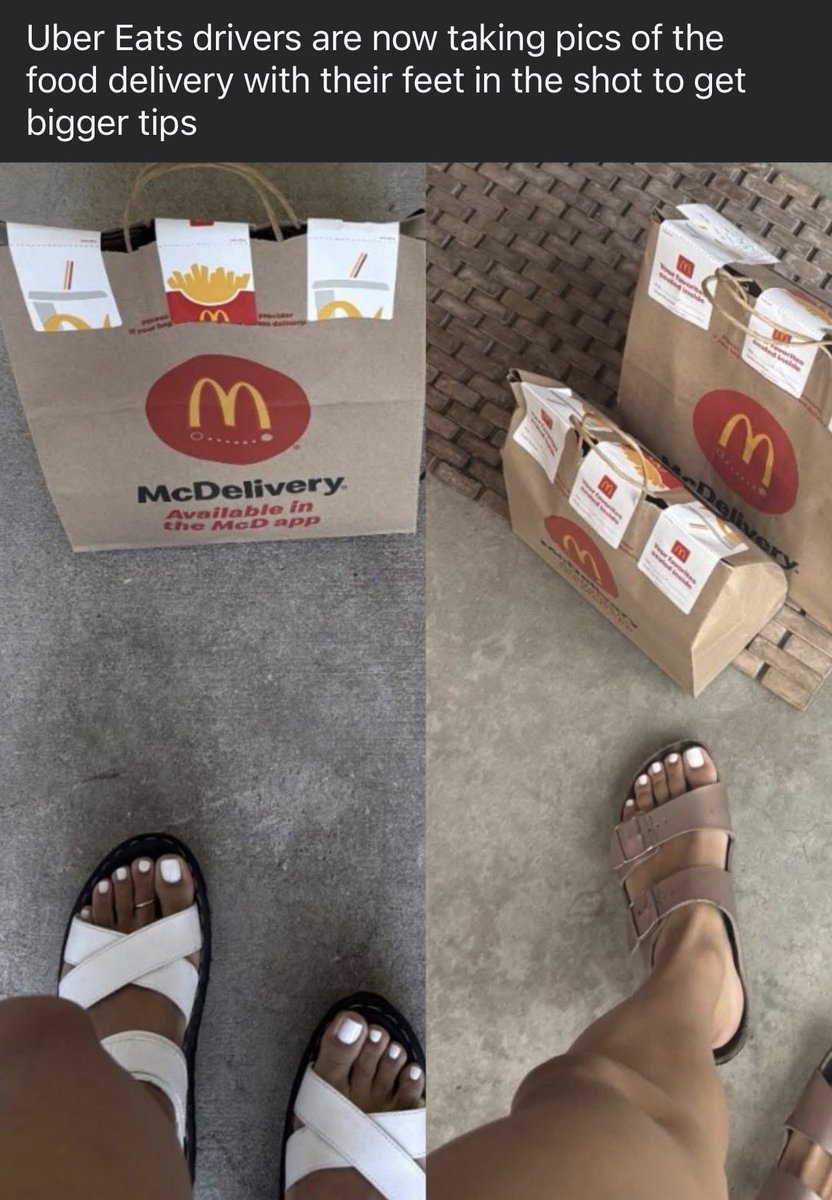 Red Introvert tweet media