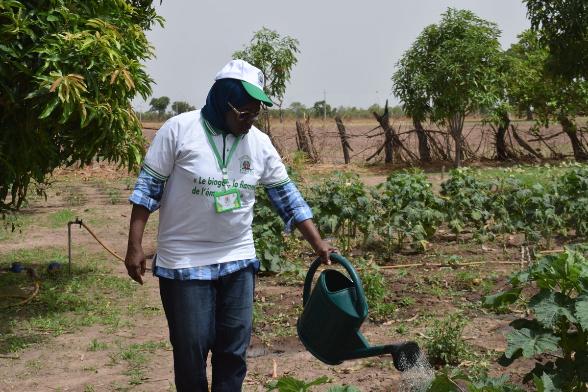 Alliance Biodigesteur Afrique de l’Ouest et Centre tweet media