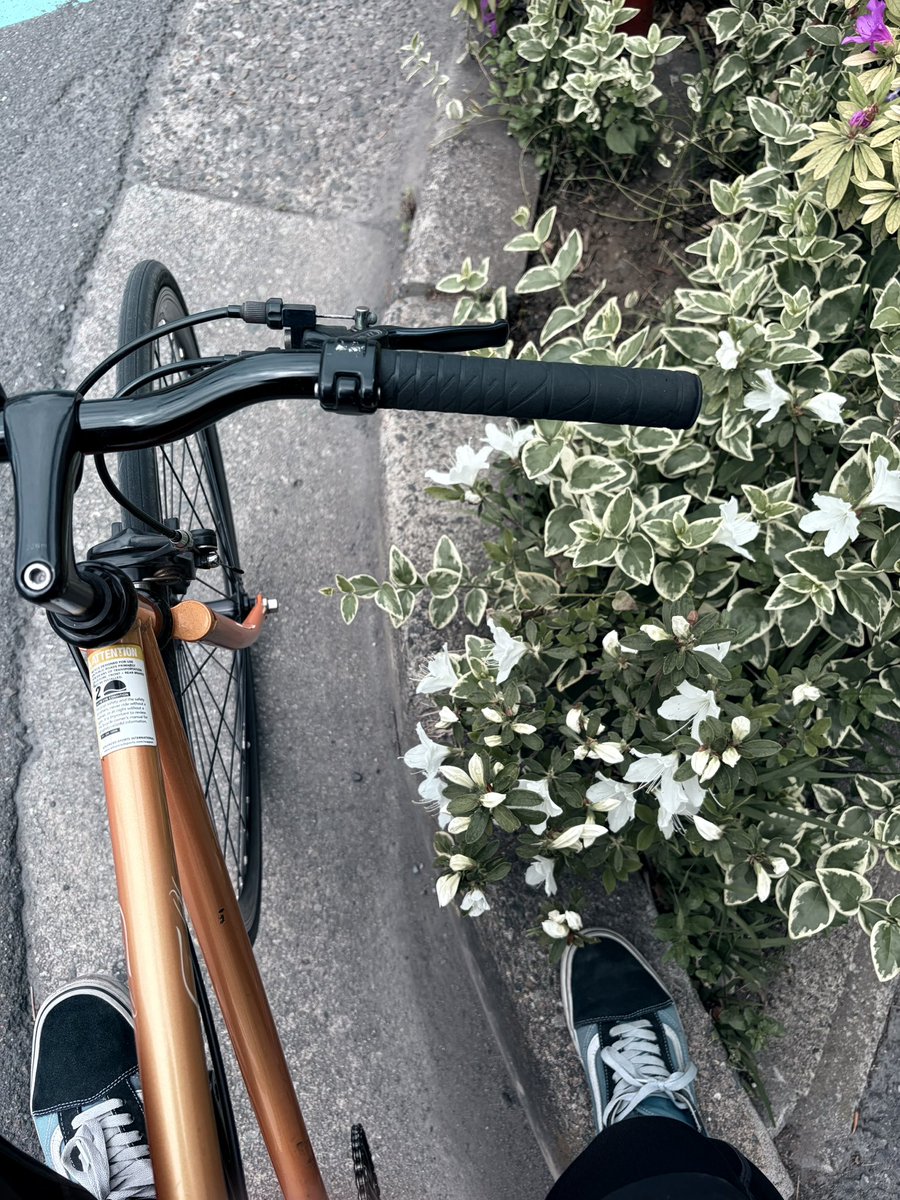 髙橋レオ tweet media