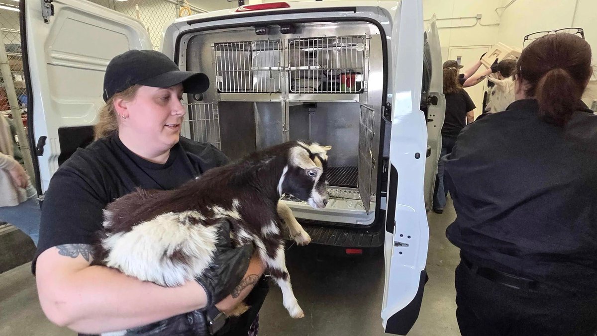 Nebraska Humane Society tweet media