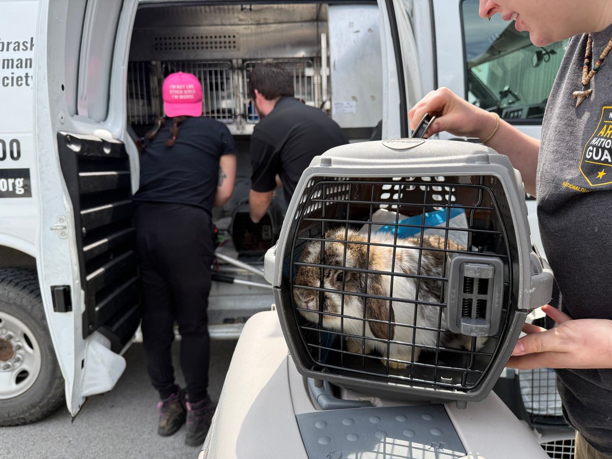 Nebraska Humane Society tweet media