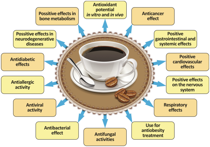 Carnivore Aurelius ©🥩 ☀️🦙 tweet media