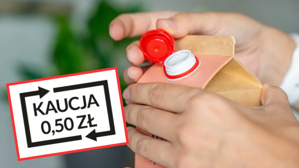 MindVoyager tweet media