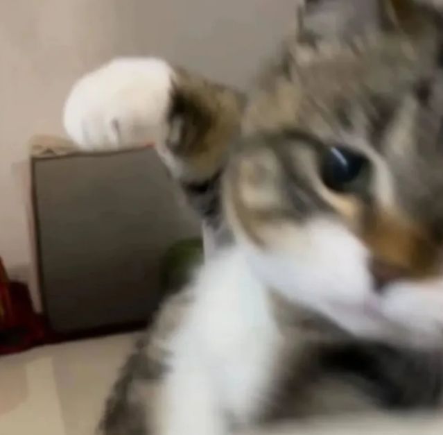 수현, miss art. tweet media