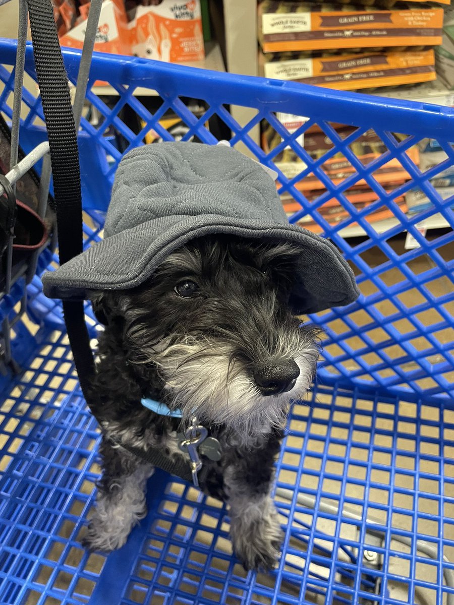 AlexandriaSweet tweet media