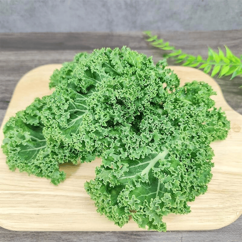 Marten Perez tweet media