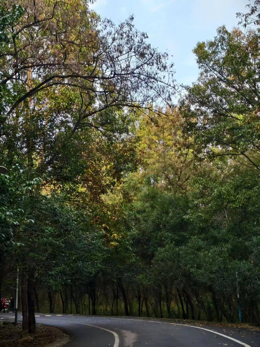 احمد العطوي tweet media