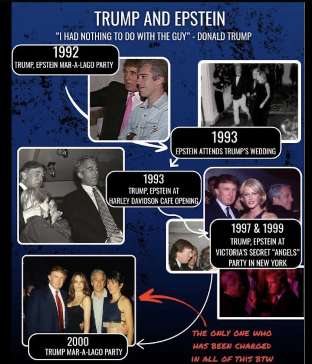 ellis⸆⸉ ོ🇵🇸🧡🤍💖🌼 tweet media