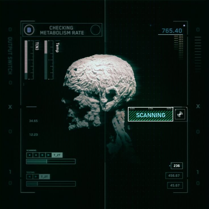 Lexx Che tweet media