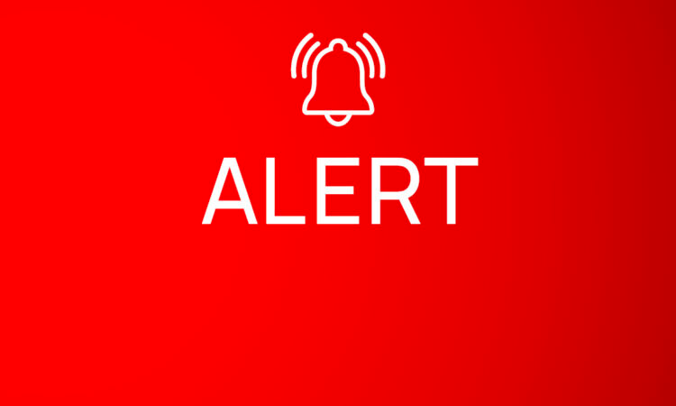 Q ™️ tweet media