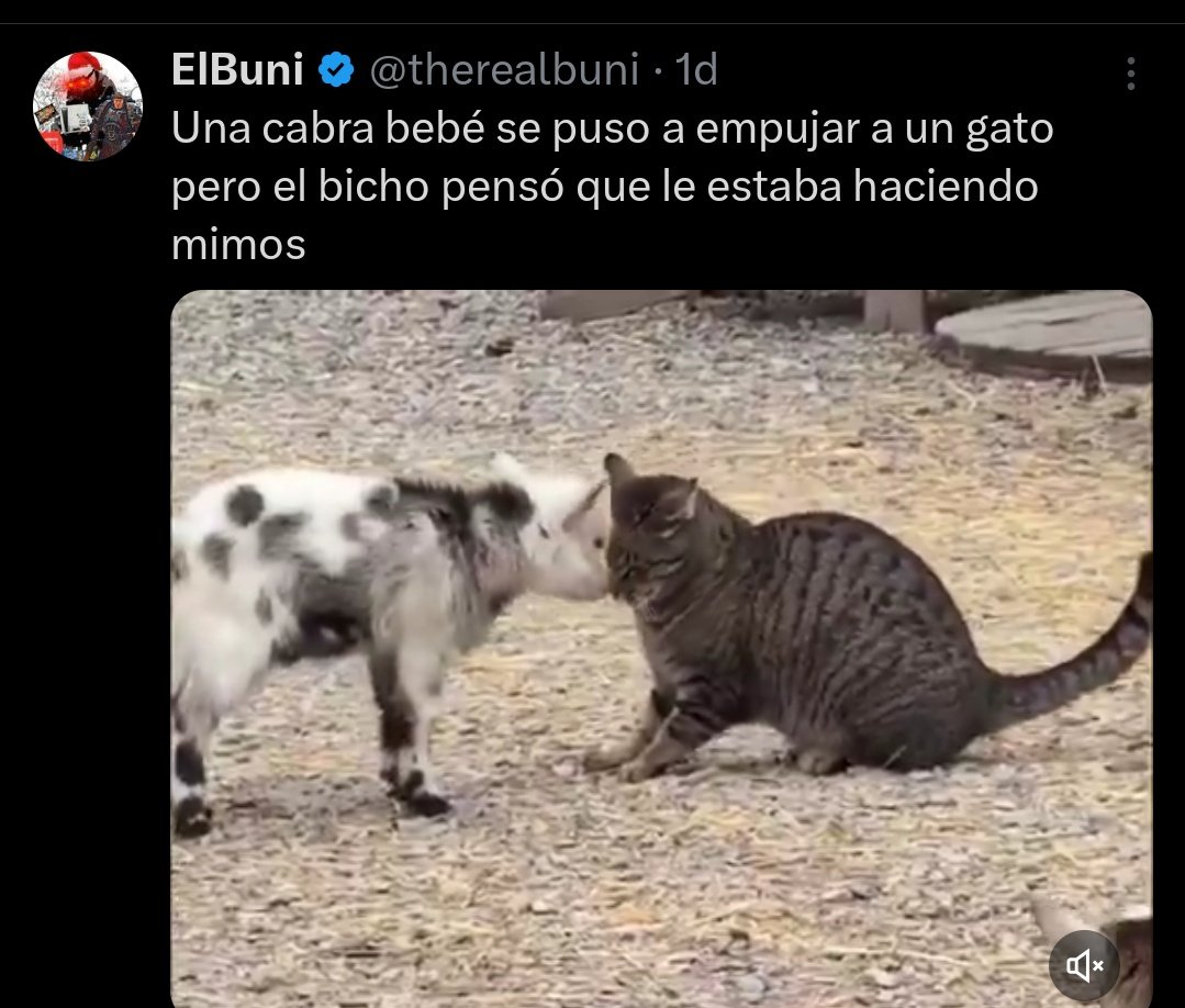 Pipendorf tweet media