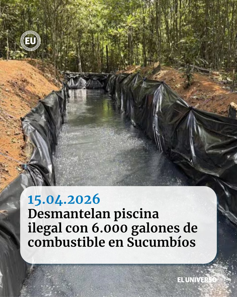 La Magister 🗽 tweet media