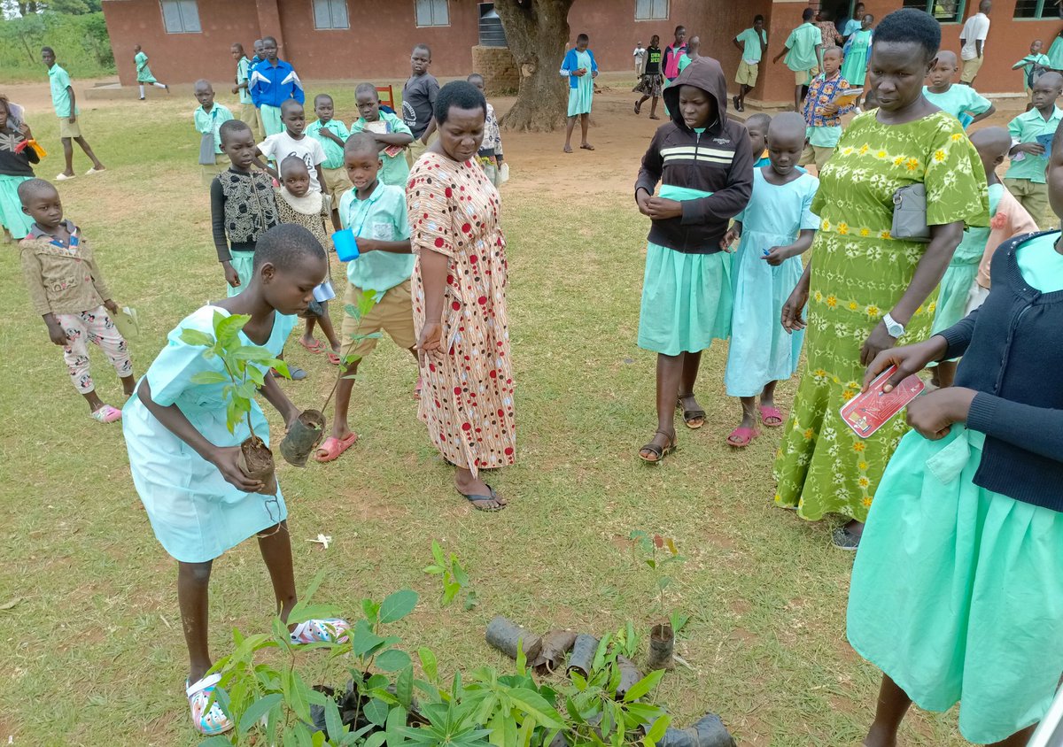 ayowecca_uganda's tweet image. What would happen if everyone cared for the planet: clean rivers, breathing forests, children inheriting skies worth looking up to. Silence healed. Balance restored. Earth exhaling, finally in peace. #ClimateStrike #Climate #Web3 #Forests #Nature #MonthlyEarthDay #Trees #ReFi