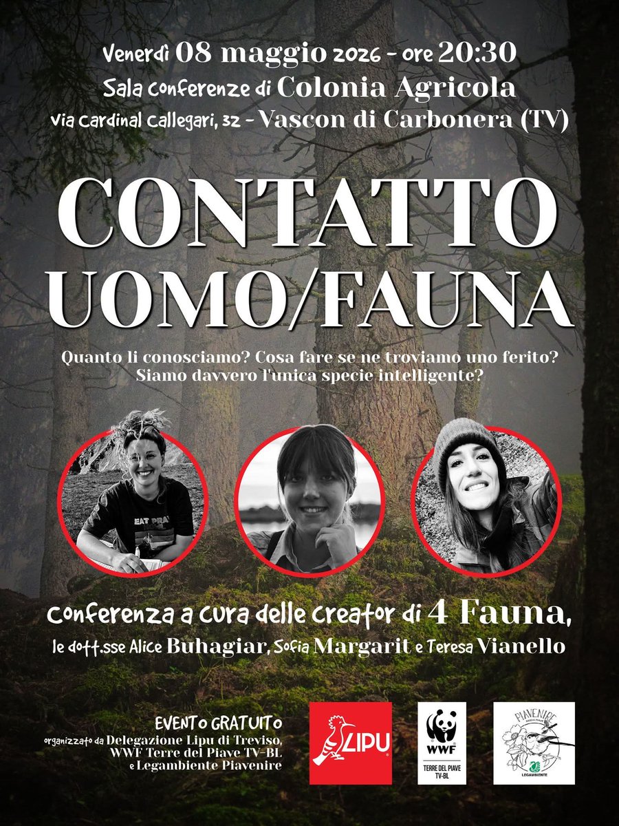 Loris Donazzon (@lorisdonazzon) on Twitter photo 