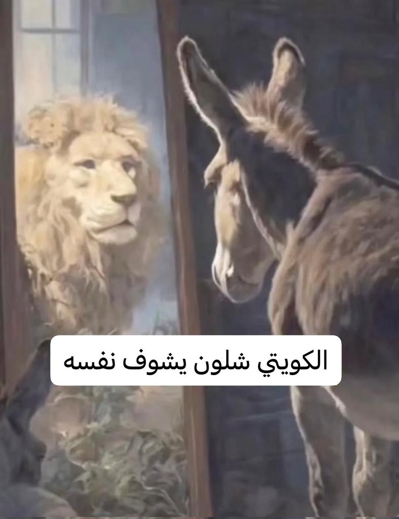 ᥲꪀᥱᥲꪔ tweet media