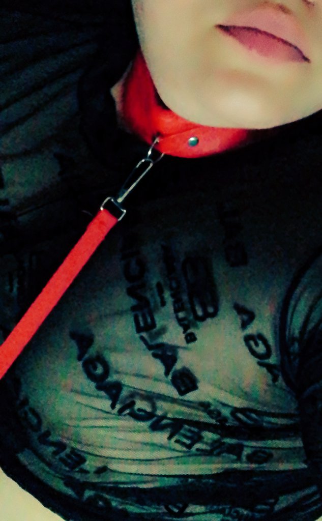 ParejaswDS's tweet photo. Y entonces llega con quién puedes cumplir tus fantasías y tus locuras sin que te juzguen. 
#fantasias 
#perrita
#fetiche 
#dominada 
A quien le gusta también ser dominad@? https://t.co/9RzHdkxlud