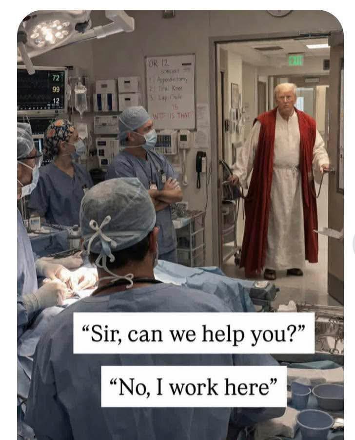 Inja Thecat tweet media