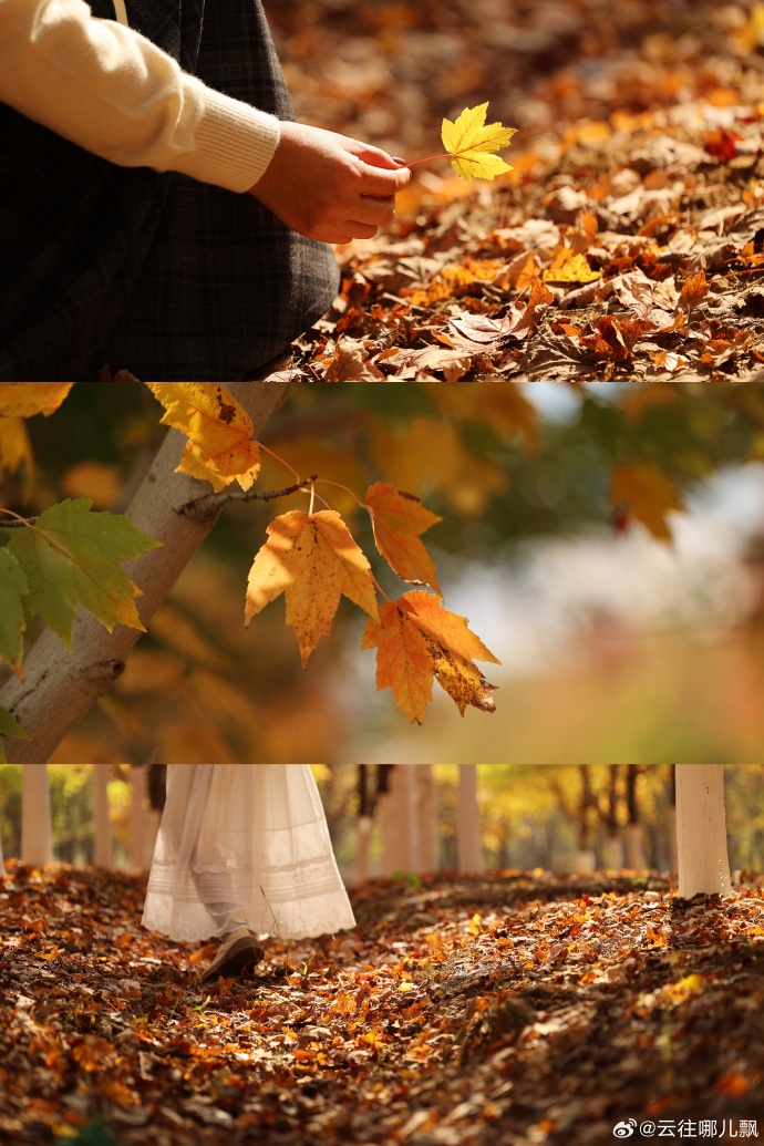 malick cisse tweet media