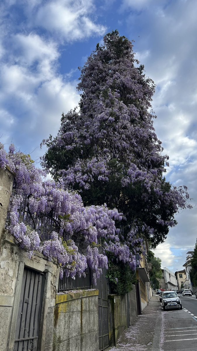 Zouganista🇮🇹フィレンツェで木象嵌工房やってます tweet media