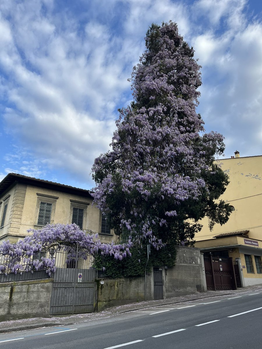 Zouganista🇮🇹フィレンツェで木象嵌工房やってます tweet media